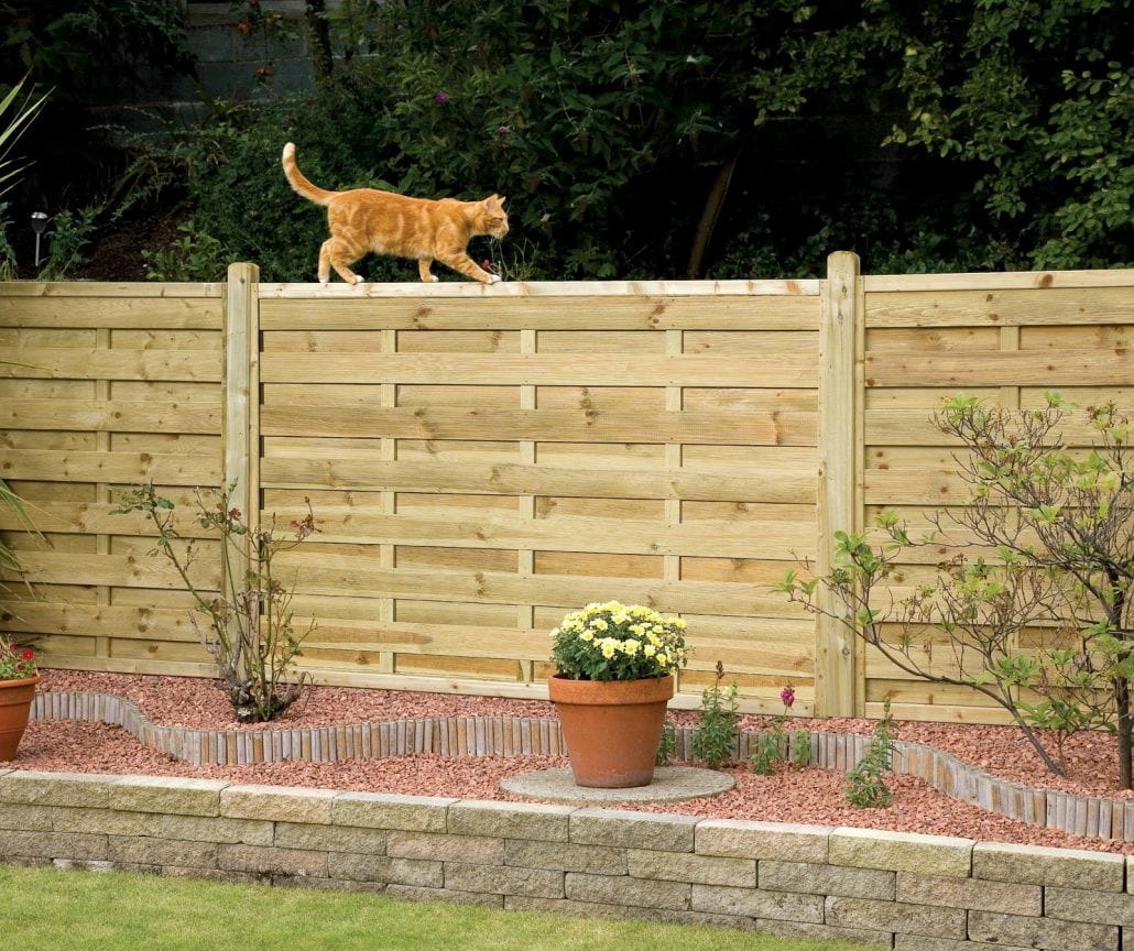 Elite St Esprit 1.2m - ESMSQ12 A photo of a ginger cat walking along the top of a new fence