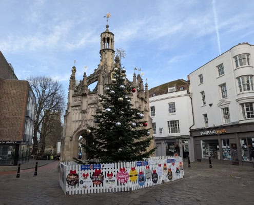 2025 Chichester Christmas Tree supported by Knight Fencing