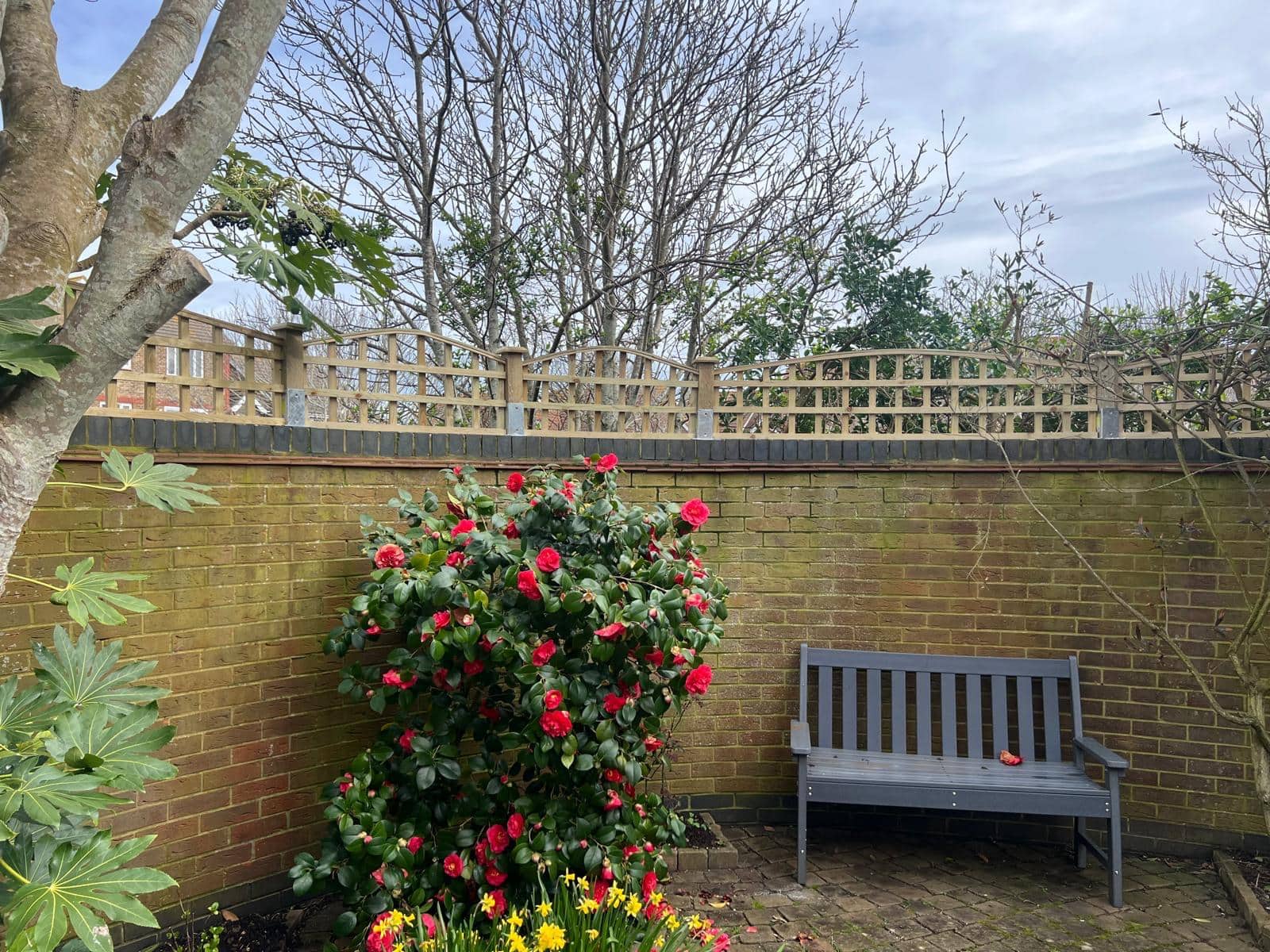 Bowed Trellis - Image 3