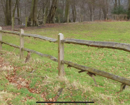 Post and rail fencing