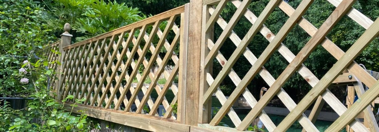 Diamond Trellis 2