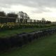 Goodwood fencing
