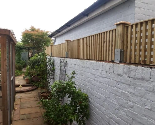 Trellis on a brick wall