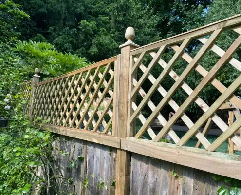 Trellis on fence panel