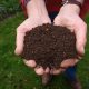 use Compost in the garden